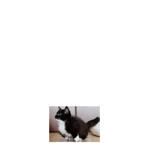 kibby